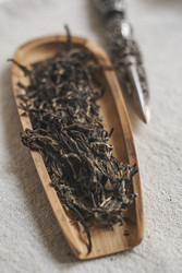 Similar image 22331419