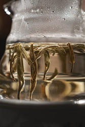 Similar image 22331421