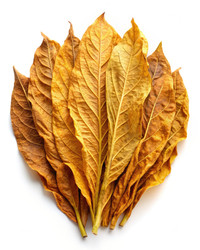 Similar image 22320261