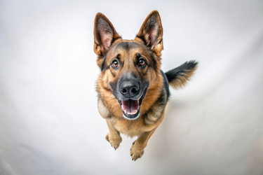 Similar image 22326879