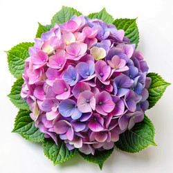 Similar image 22326896