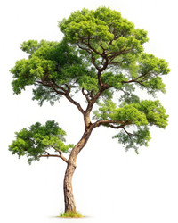 Similar image 22327555