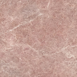 Similar image 22311007