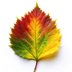 Similar image 22325469