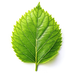 Similar image 22326880