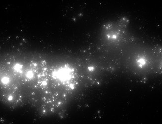 Similar image 22296052