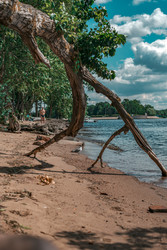 Similar image 22331204