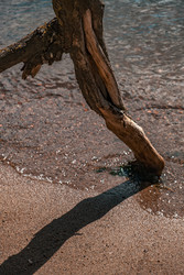 Similar image 22331430