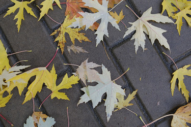 Similar image 22300965