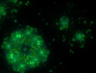 Similar image 22320310