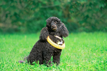 Similar image 22290030