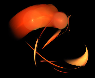 Similar image 22293158