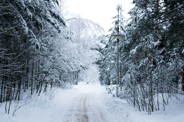 Similar image 22299511