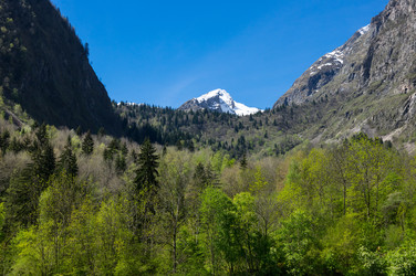 Similar image 22298089