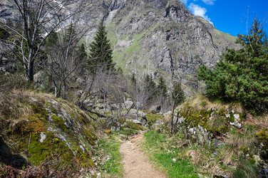 Similar image 22298090