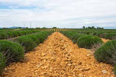 Similar image 22298172