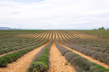 Similar image 22298298