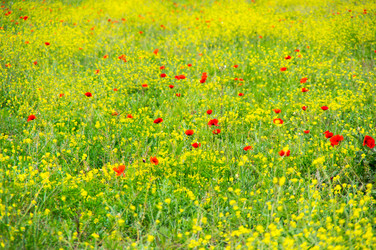 Similar image 22298301