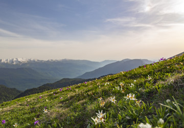 Similar image 22300971