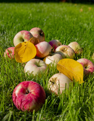 Similar image 22300976