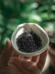 Similar image 22329039