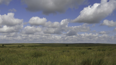 Similar image 22330391