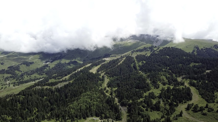 Similar image 22330847