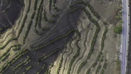 Similar image 22330849