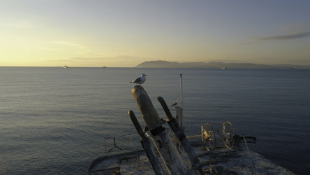 Similar image 22296751