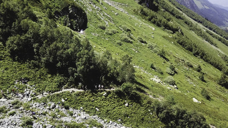 Similar image 22325964