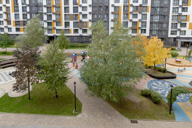 Similar image 22295260