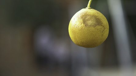 Similar image 22330853