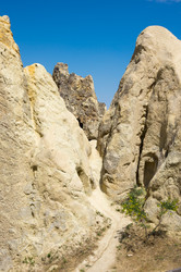 Similar image 22298775