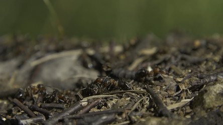 Similar image 22328120