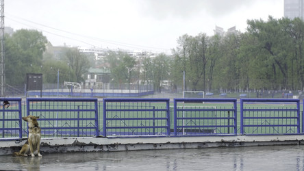 Similar image 22328561