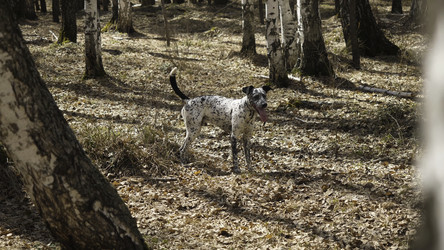 Similar image 22329045