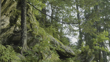 Similar image 22329855