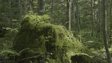 Similar image 22330049