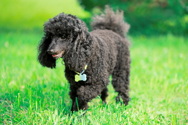 Similar image 22290031