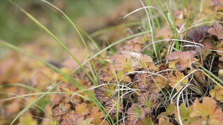 Similar image 22330053