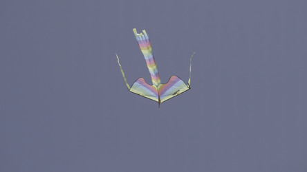 Similar image 22328853