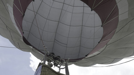 Similar image 22329532