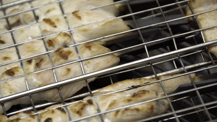 Similar image 22329534