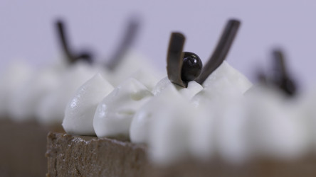 Similar image 22328571