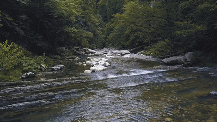 Similar image 22329545