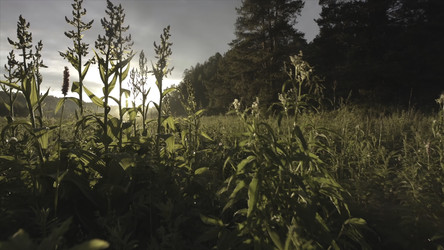 Similar image 22329861