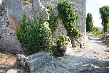 Similar image 22326711