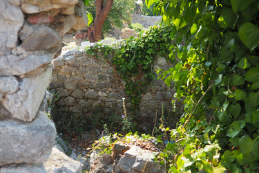 Similar image 22326842