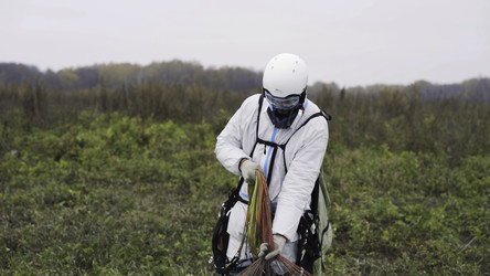 Similar image 22316181