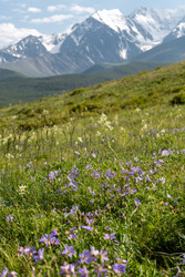 Similar image 22299359